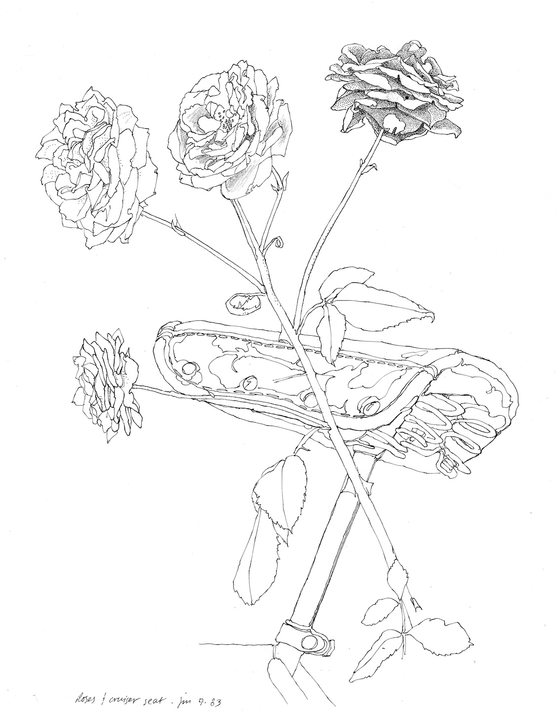 Bicycle Seat and Roses, 1983