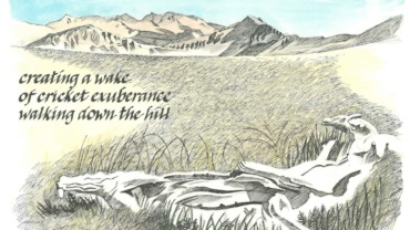 A pen-and-ink drawing of a stump and mountains in the Raggeds wilderness, by Jonathan Machen